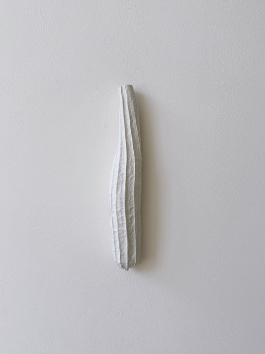 Vleugelkomkommer (groot)